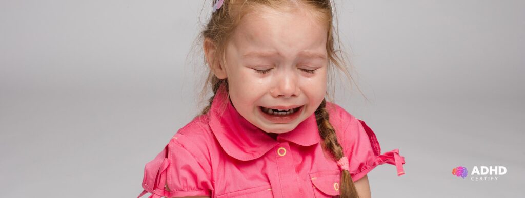 What is the difference between Shutdown and Meltdown in ADHD
