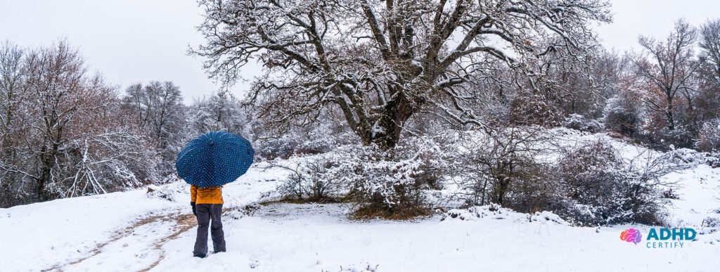 ADHD and SAD: 7 Ways to Cope with the Winter Blues